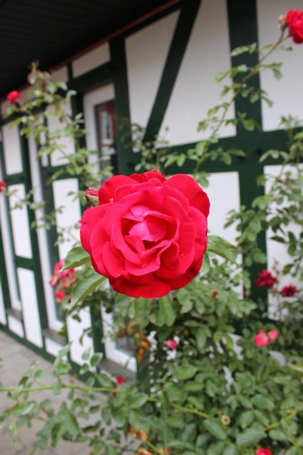 Gemuetliches Fachwerkhaus Im Herzen Nideggens Buitenkant foto